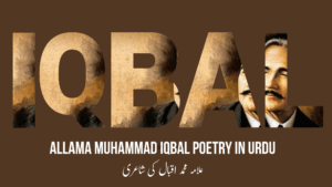Read more about the article علامہ محمد اقبال کی اردو شاعری – Allama Muhammad Iqbal Poetry In Urdu