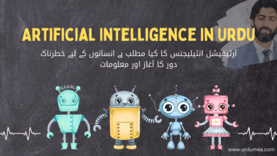 Artificial Intelligence In Urdu