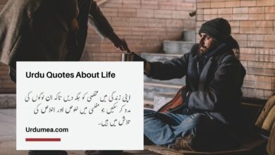 Urdu Quotes About Life in urdu-14
