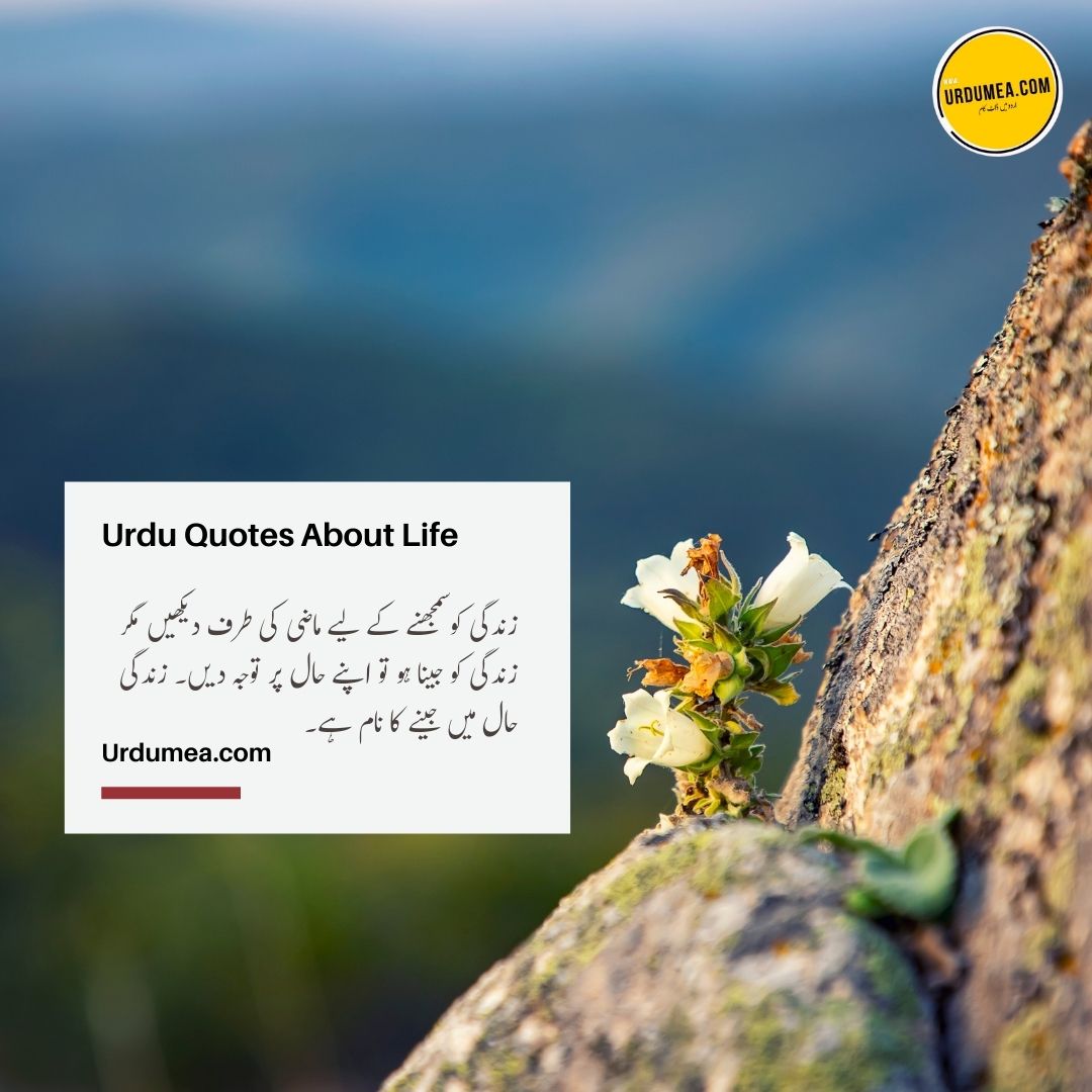 17- Urdu Quotes About Life زندگی کو سمجھنے کے لیے ۔۔۔