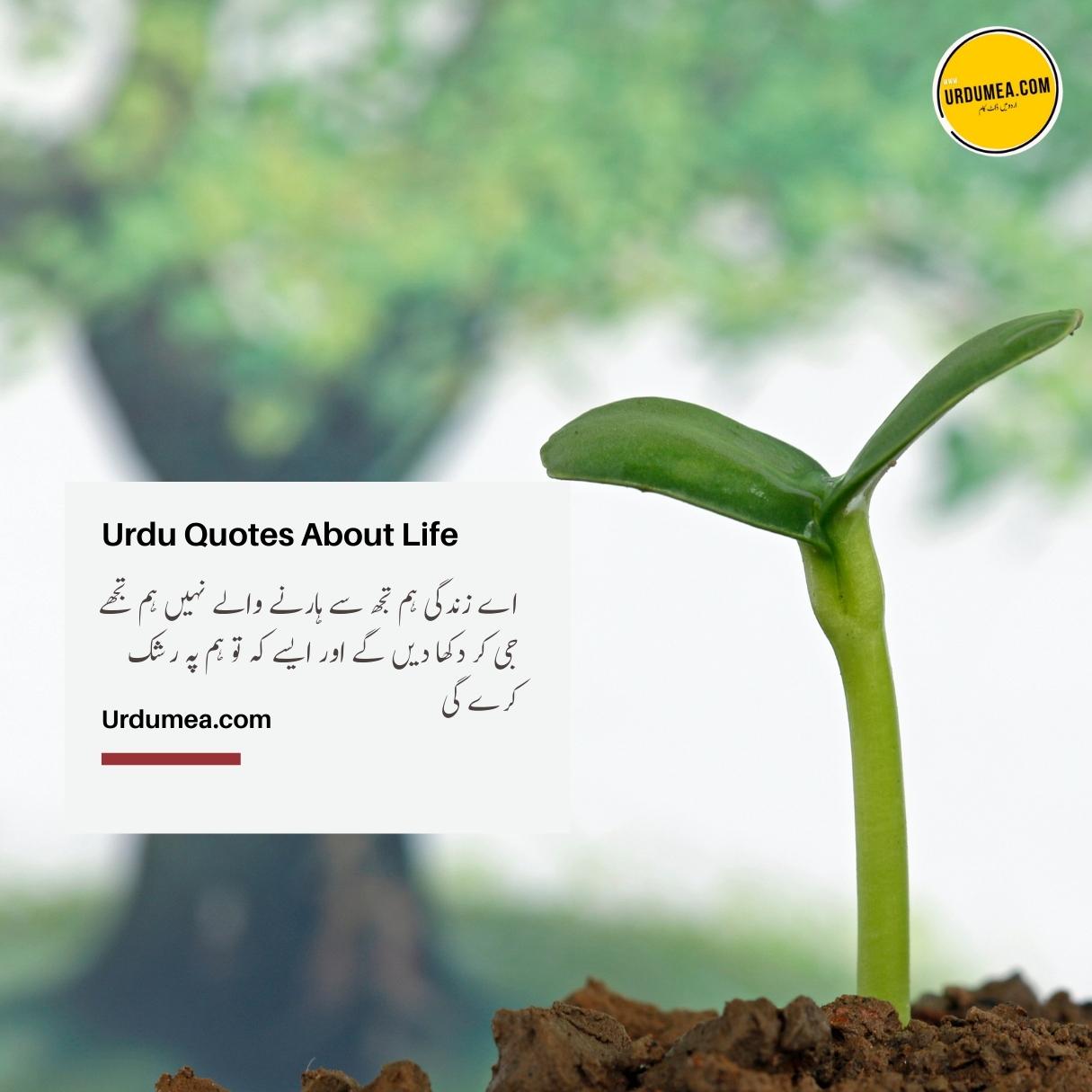 2- Urdu Quotes About Life اے زندگی ہم تجھ سے ۔۔۔