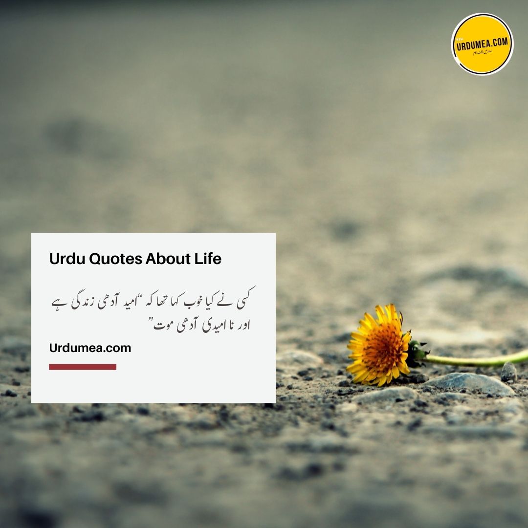 3- Urdu Quotes About Life کسی نے خوب کہا ۔۔۔