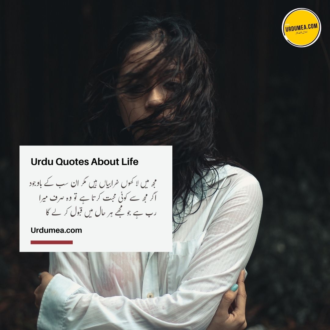 6- Urdu Quotes About Life مجھ میں لاکھوں خرابیاں ہیں ۔۔