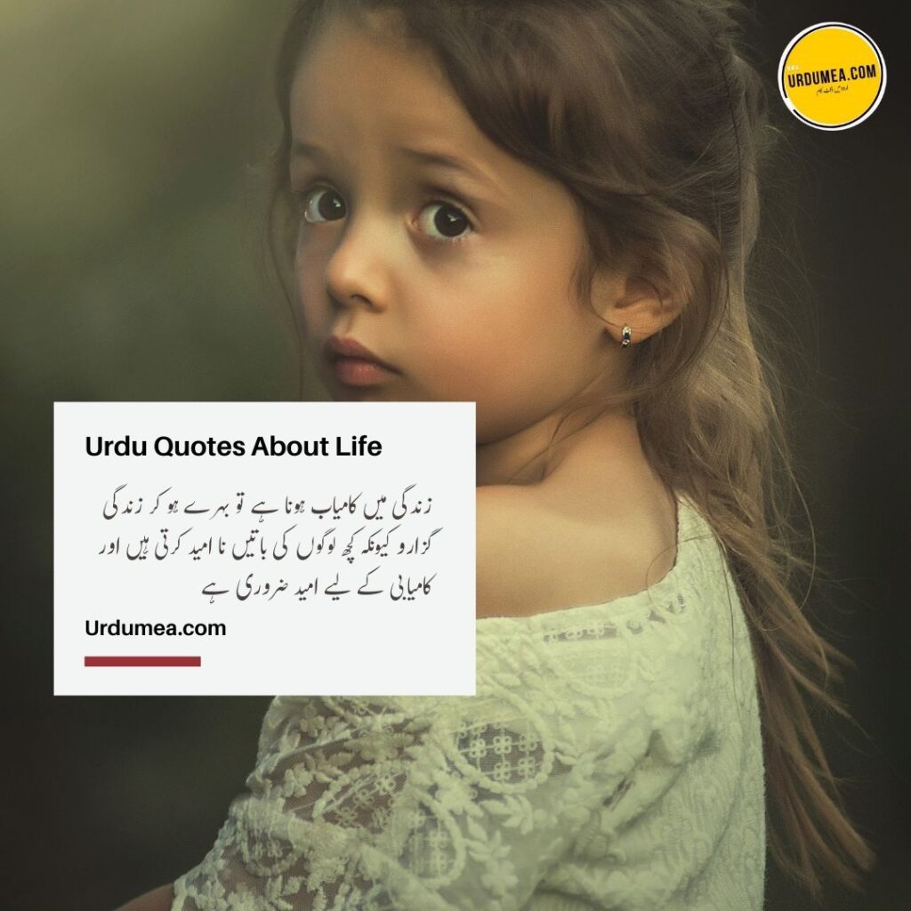 9- Urdu Quotes About Life زندگی میں کامیاب ہونا ہے تو ۔۔۔