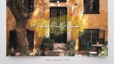 اردو شاعری – آہٹ سی کوئی آئے تو