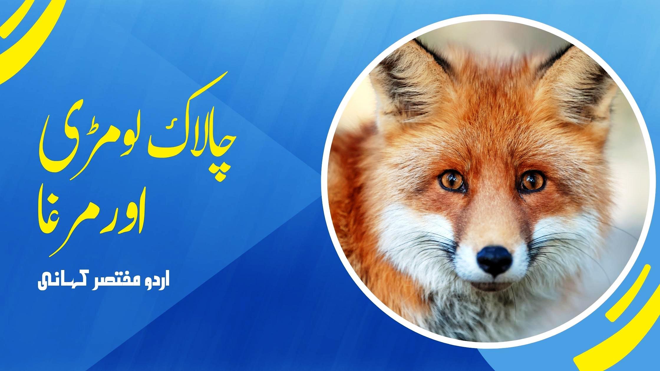 Read more about the article چلاک لومڑی اورمرغا – اردو مختصر کہانی