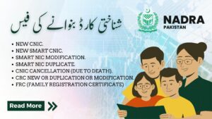 Read more about the article شناختی کارڈ بنوانے کی فیس 2023