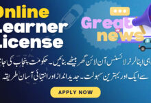 Online Learner License