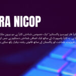 NADRA has fully functional online portal for NICOPCNIC