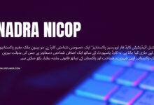 NADRA has fully functional online portal for NICOPCNIC